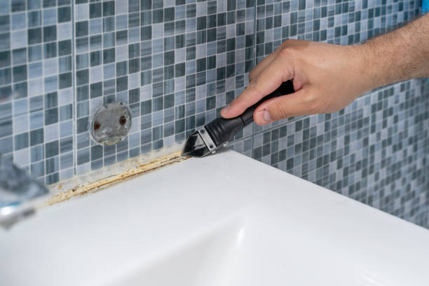 Best Toxic Mold Removal  in Carson City, NV