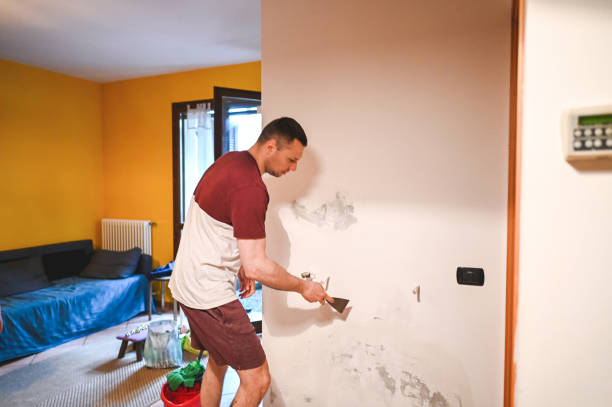 Office Mold Removal Services in Carson City, NV
